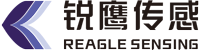 Zhejiang Reagle Sensing Technology