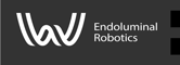 W Endoluminal Robotics