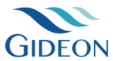 Gideon Semiconductor(ShenZhen)