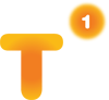 T1