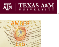 Texas A&M University